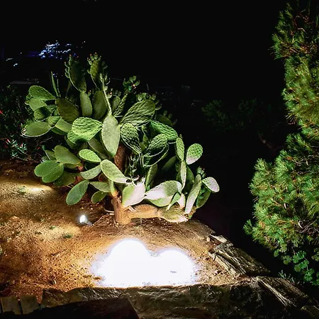 Zen Blue Mills Bed and Breakfast *