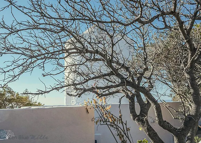 Couette-café Zen Blue Mills Koundouros